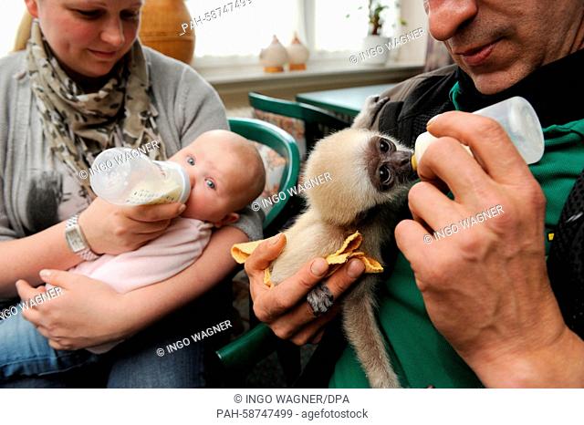 Managing director of the animal park Thuele near Friesoythe, Alexandra Grothoff, bottle-feeds her six months old daughter Viktoria in Friesoythe, Germany