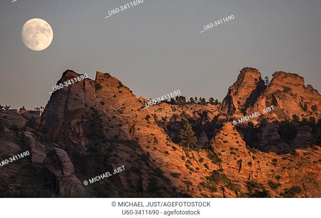A full moon rises over the Kolob Terrace area of Zion National Park, Utah