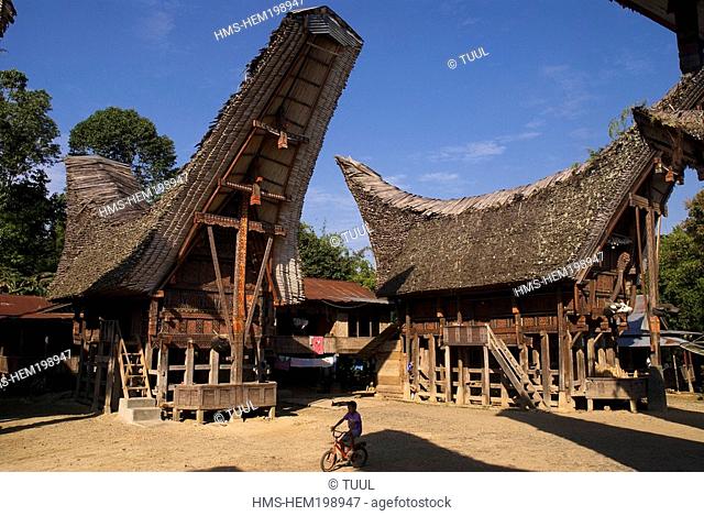 Indonesia, Sulawesi Celebes, Toraja land, Tana Toraja, traditional Toraja house tongkonan in Palawa village
