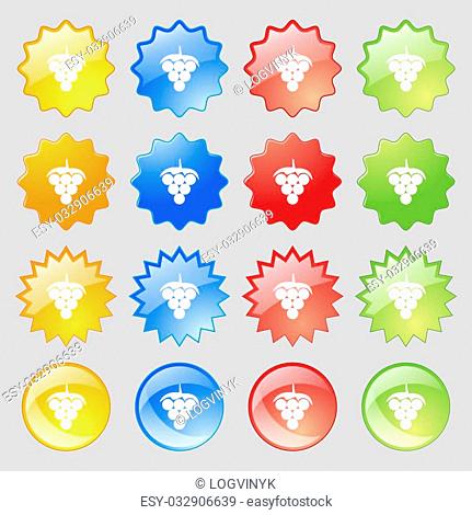Grapes icon sign. Big set of 16 colorful modern buttons for your design. Vector illustration