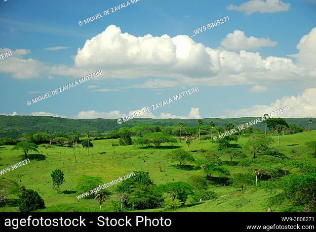 Green field in the Cibao, Montecristi Province , Dominican Republic