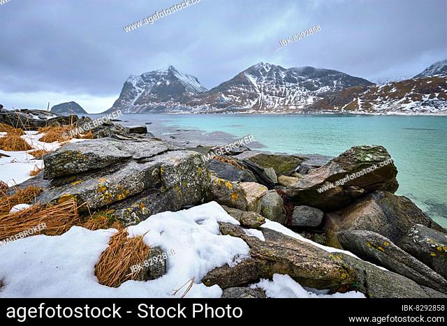 Rocky coast of fjord of Norwegian sea in winter with snow. Haukland beach, Lofoten islands, Norway, Europe