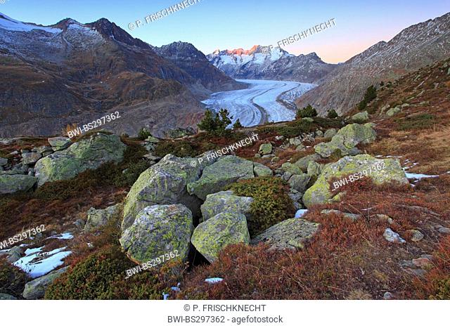 Great Aletsch Glacier and Wannerhorn mountain group, Switzerland, Valais