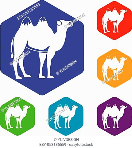 Camel icons set rhombus in different colors isolated on white background