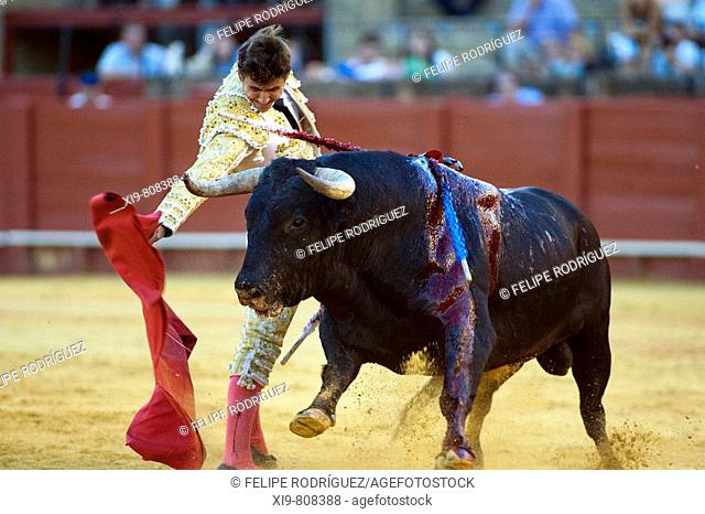 Bullfighter César Girón. Plaza de toros de la Real Maestranza de Caballería de Sevilla. Seville. Spain