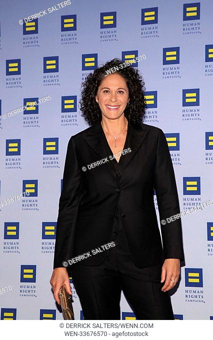 17th Annual HRC Greater New York Gala, held at the New York Marriott Marquis in New York City. Featuring: Dana Goldberg Where: New York City, New York