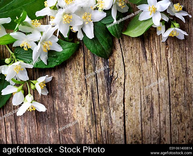 Beautiful jasmine flower on rustic wooden table
