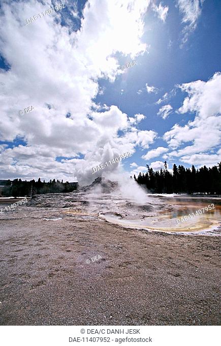 United States of America - Wyoming - Yellowstone National Park (World Heritage Site by UNESCO, 1976). Region Geyser. Castle Geyser