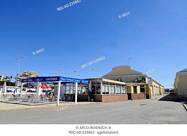 Peix del Llotja, harbour, Torrevieja, province Alicante, Spain / fish auction hall