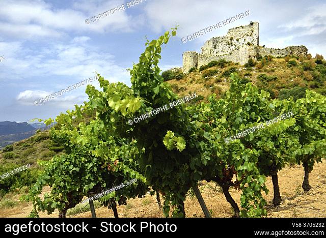 France, Aude, Aguilar castle and Tuchan vineyard