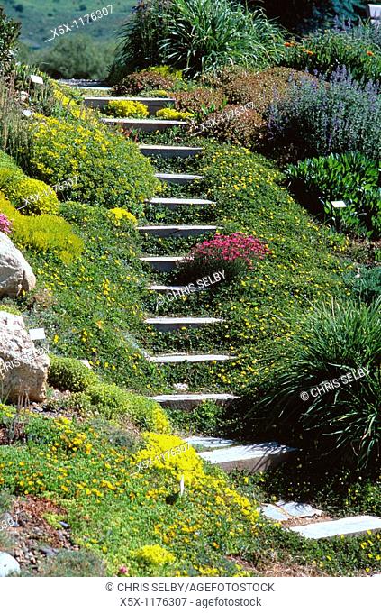 Garden Stairs in the Yampa River Botanic Park, Steamboat Springs, Colorado, USA