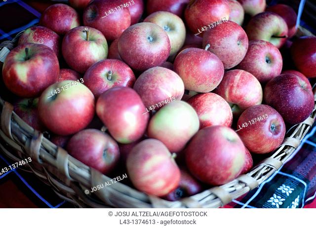 apples in extraordinary market in Ordizia, euskadi