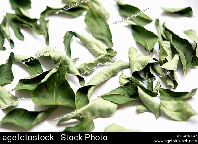 Dried curry leaves over white background