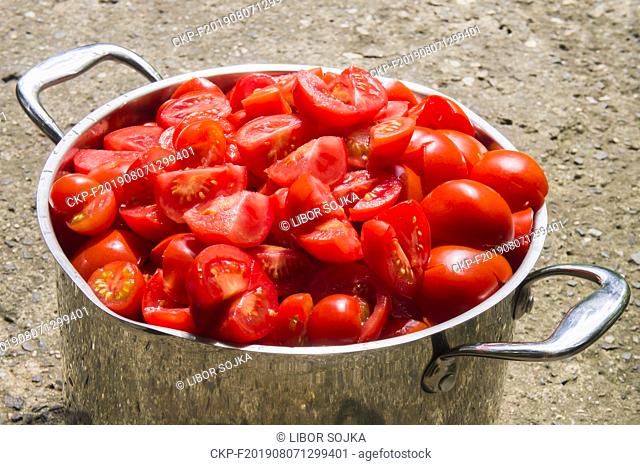 steel cooking pot full of red tomato, cut tomatoes, agriculture, vegetable, no people, freshness, botany, organic, healthy eating, food and drink, August 6