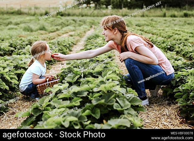 Mother giving her daughter a strawberry on field