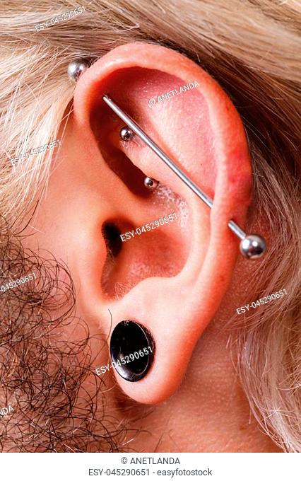 Stretched lobe piercing, grunge concept. Pierced man ear with black plug tunnel. industrial and rook