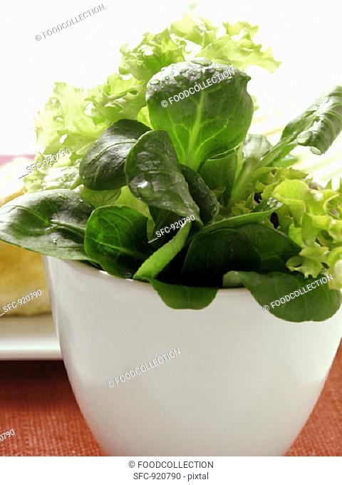 Small mixed salad in bowl