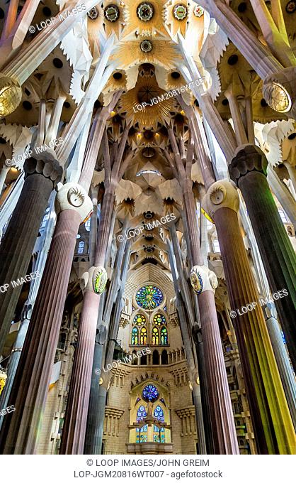 Nave interior of the Basilica Sagrada Familia