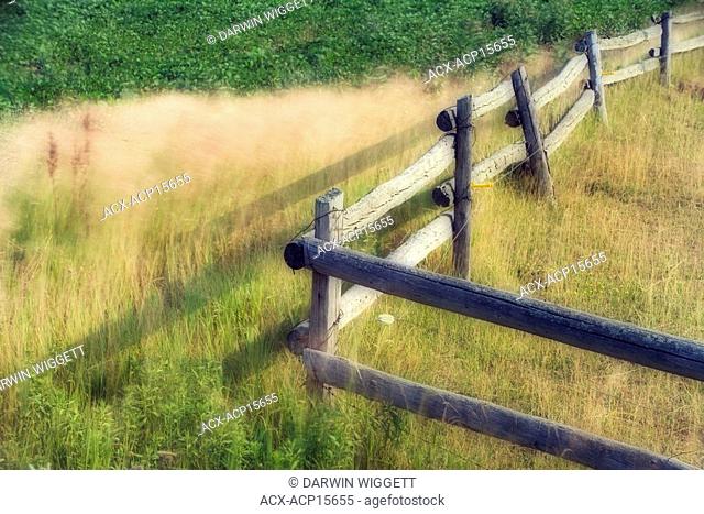Wooden Fence and crops - Haldimand County - Niagara Peninsula Ontario Canada