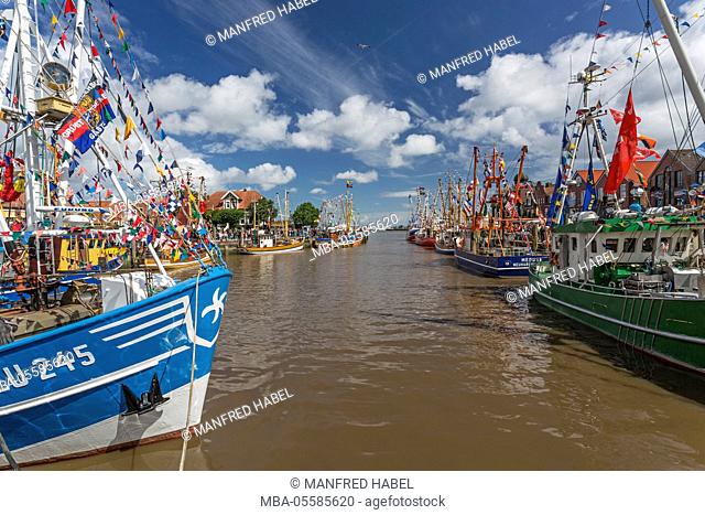Cutter regatta, shrimp boats decorated with pendants and pennants in the harbour of Neuharlingersiel, Eastern Frisia