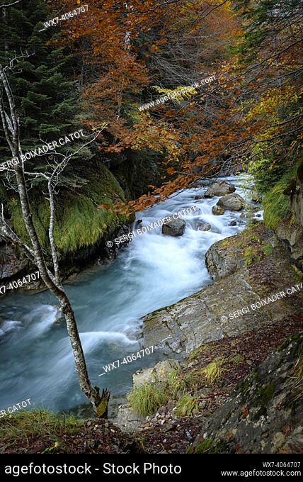 Ara River in Bujaruelo valley (Ordesa and Monte Perdido NP, Pyrenees, Spain)
