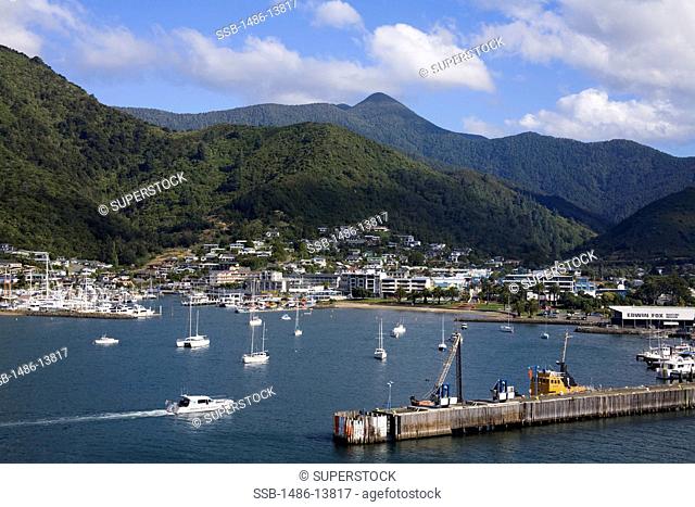 High angle view of boats at a harbor, Picton, Marlborough, South Island, New Zealand