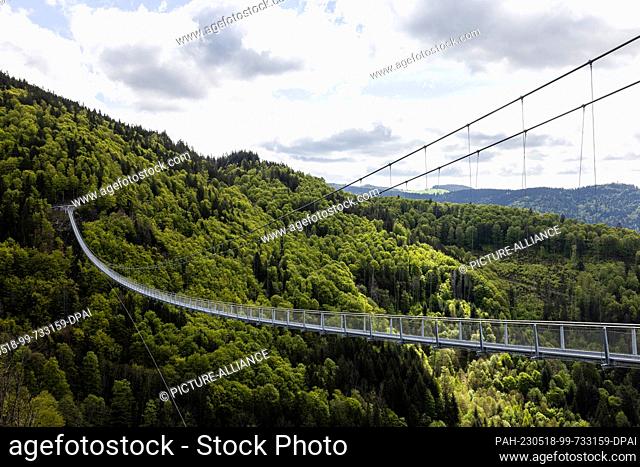 17 May 2023, Baden-Württemberg, Todtnau: A suspension bridge crosses a valley near Todtnauberg. The suspension bridge over the Todtnau waterfalls is 450 long...