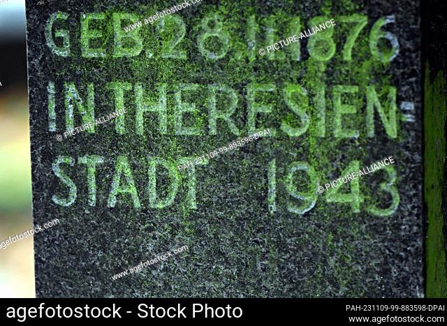 09 November 2023, North Rhine-Westphalia, Cologne: Moss grows on a gravestone at the Jewish cemetery. On Progromnacht on November 9, 1938, Jewish stores