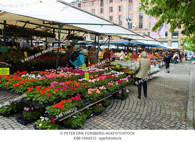 Flower stall Hötorget square central Stockholm Sweden Europe