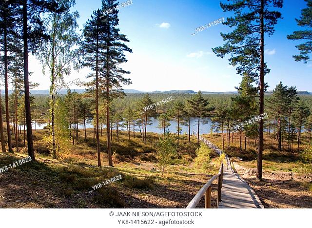 Meenikunno Landscape Reserve in Estonia, Europe