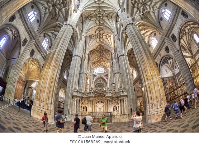 New Cathedral of Salamanca, Salamanca City, Spain, Europe