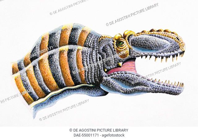 Tarbosaurus bataar, Tyrannosauridae, Late Cretaceous. Artwork by Steve White