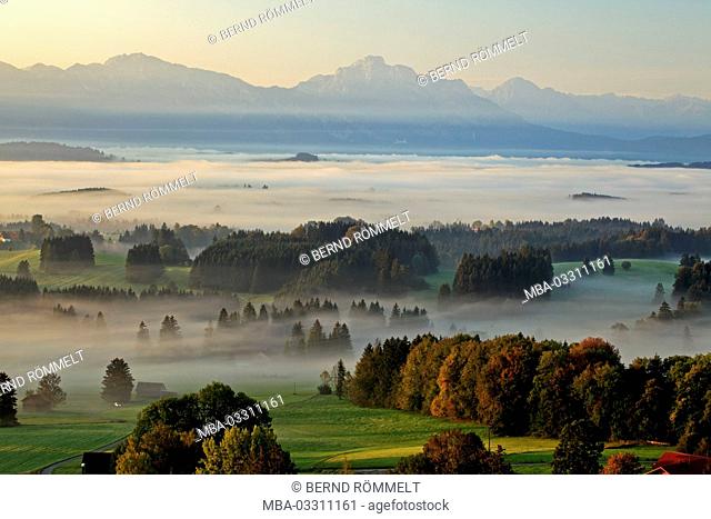 Germany, Bavaria, Allgäu, Ostallgäu district, Königswinkel region, mountain Auer, foothills of the Alps, Tegelberg, Säuling (mountain), Ammergauer alps