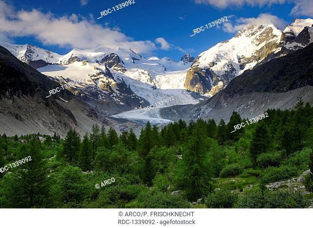 Morteratsch Tal, Piz Palue, 3905 m, Piz Bernina, 4049 m, Biancograt, Morteratsch Gletscher, Graubuenden, Oberengadin, Schweiz