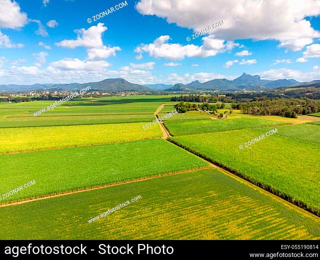 Sugarcane fields near the town of Murwillumbah and Wollumbin National Park (Mt Warning) in rural New South Wales, Australia
