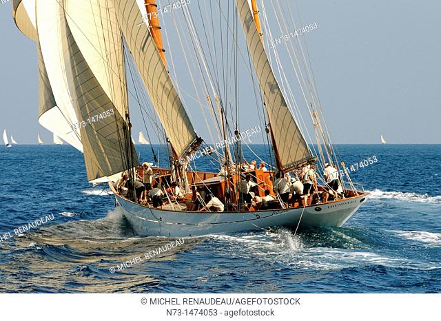 France, Var 83, Saint-Tropez, Les Voiles de Saint-Tropez meet every year in late September of beautiful classic yachts competing in regattas superb