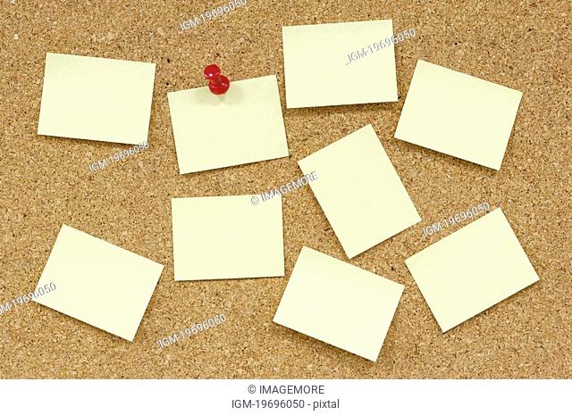 Close up of adhesive notes on cork board