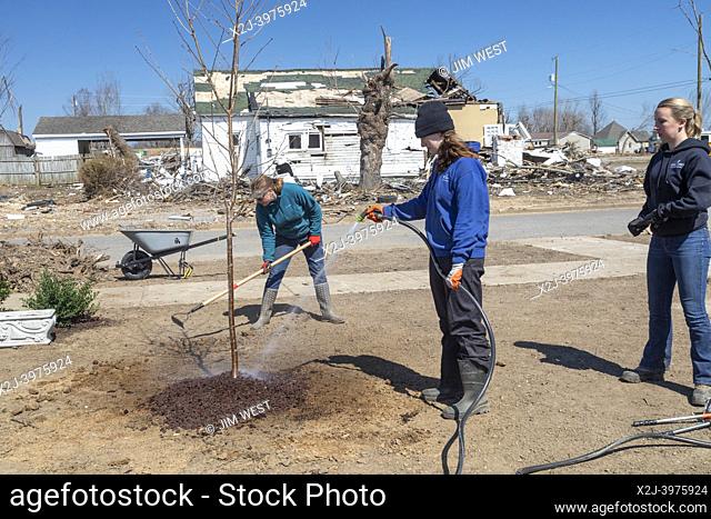 Mayfield, Kentucky - Students on spring break from Asbury University plant trees in Anderson Park. The park's existing trees were destroyed in the December 2021...
