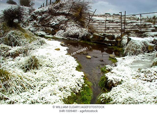 Greenery protruding from the snow by the banks of a small stream