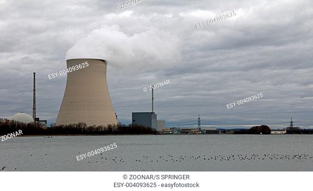 ducks and atomic power plant Ohu