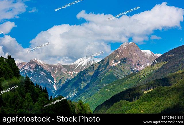 Summer Alps mountain landscape with fir forest on slope and snow covered rocky tops in far, Austria