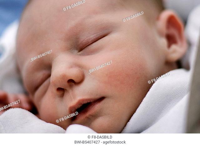 sleeping new baby, portrait of a child