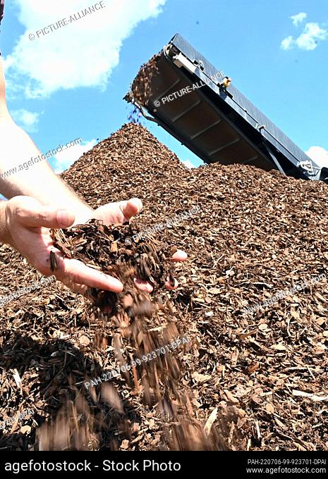 PRODUCTION - 13 June 2022, Baden-Wuerttemberg, Marxzell: At the company Corthum sorted bark mulch is shown. For a beautiful garden you will have to dig deeper...