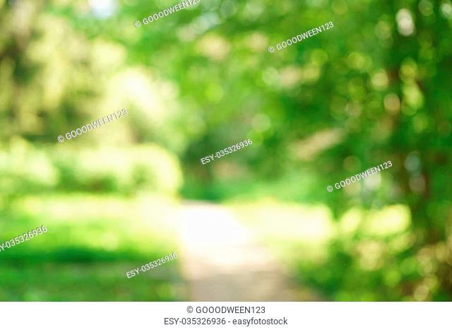 blurred background of green park in summer, very high resolution
