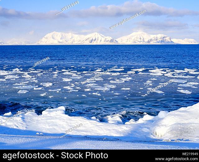 Coast with pancake ice near Kapp Linne at fjord Isfjorden near Isfjord Radio, Island of Spitsbergen, part of Svalbard archipelago
