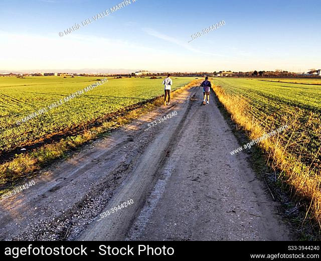Dos chicos jóvenes corriendo por un camino en Pinto. Madrid. Spain. Europe