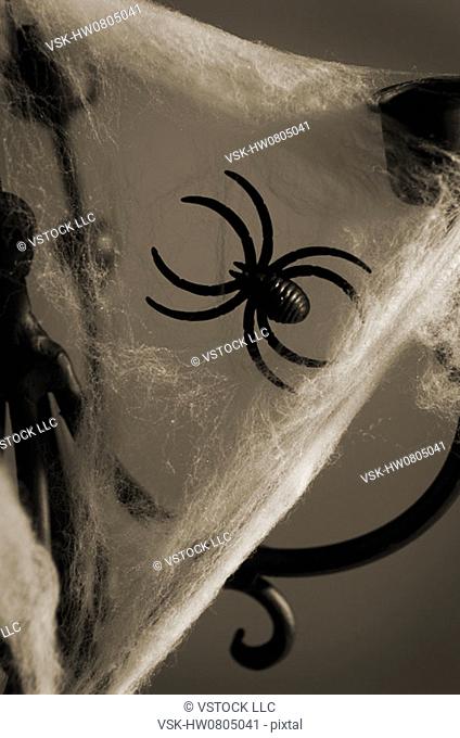 Spider on web on candleholder