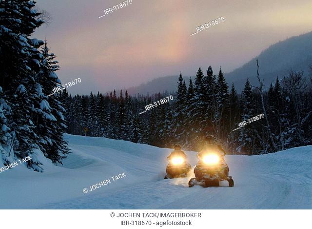 CAN Canada Quebec : Snowmobile driving during winter region Saguenay - Lac Saint Jean Monts Valin