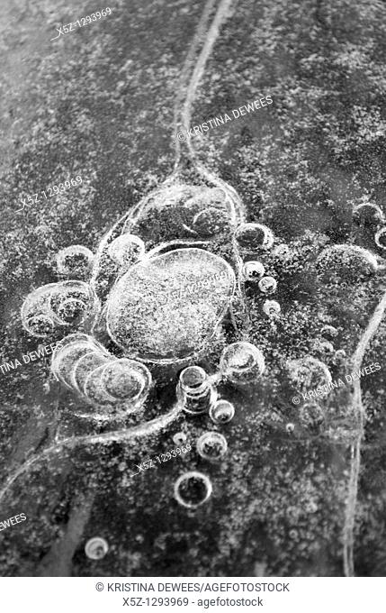 Bubbles frozen in ice