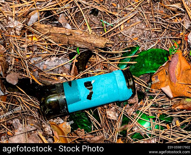 The neck of a broken wine glass bottle on pine needles. Broken glass. Wine bottle. Camping in the forest. Hiking. Waste garbage in nature. Ecology